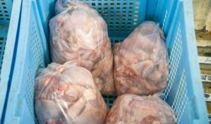 Si la República Dominicana produce 750,000 pollos cada día, ¿por qué lo sigue importando?