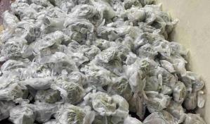 Ocupan en puerto 719 guantes quirúrgicos con marihuana ocultos en pañales desechables Ocupan en puerto 719 guantes quirúrgicos con marihuana ocultos en pañales desechables