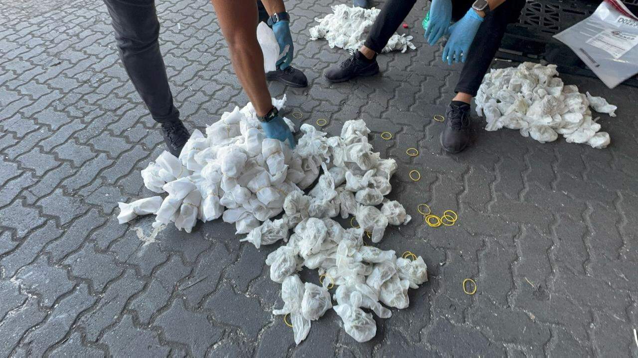 Agentes de la Dirección Nacional de Control de Drogas (DNCD), inspeccionan los guantes llenos de marihuana que llegaron en un tanque procedente de Brooklyn, Nueva York.