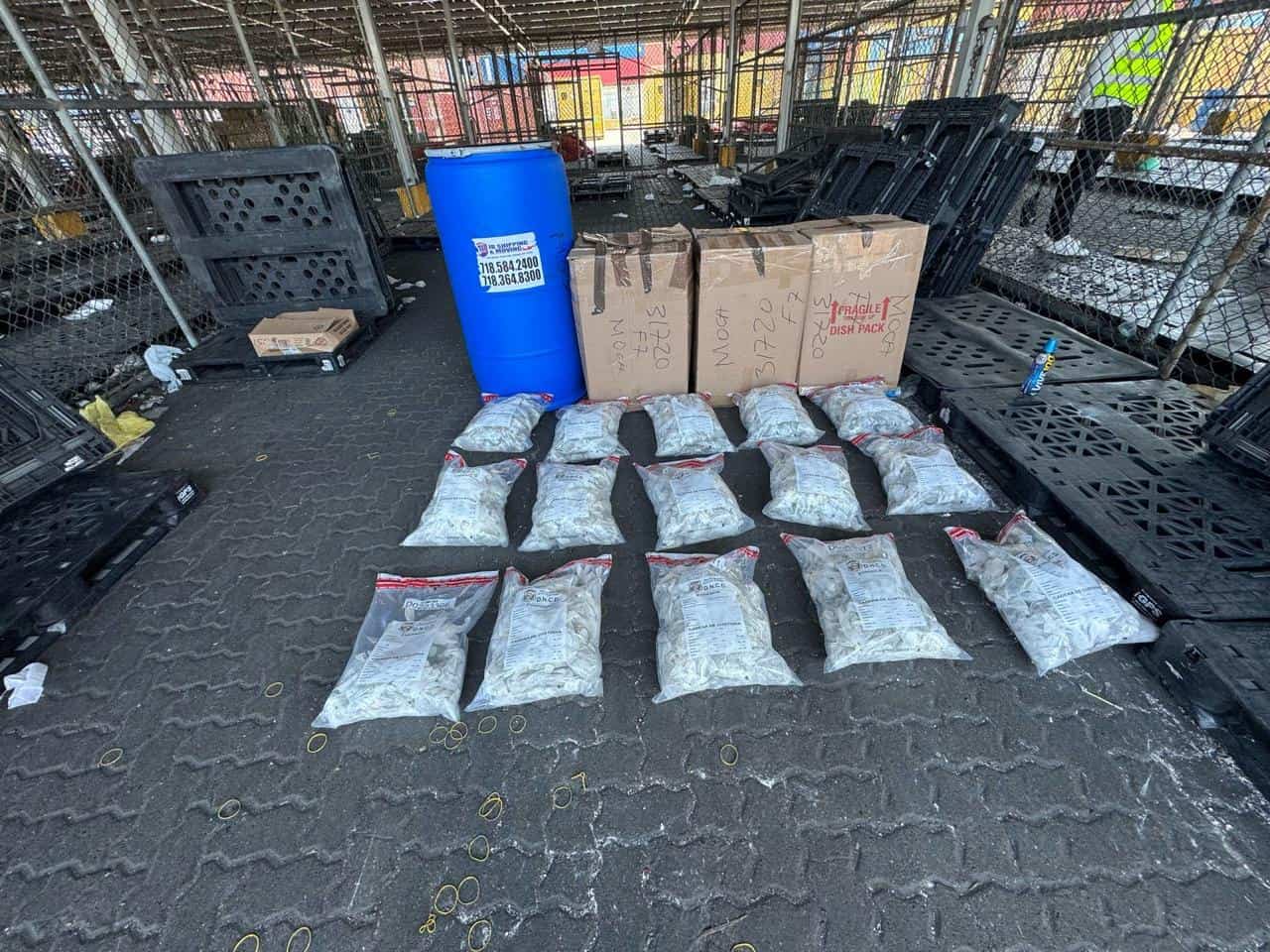 Porciones de marihuana envueltas en guantes quirúrgicos.