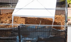 Osamentas en la Iglesia del Carmen serán conservadas in situ tras protocolo arqueológico