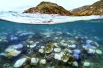 El futuro sombrío de los corales: la amenaza del calentamiento global sobre los arrecifes