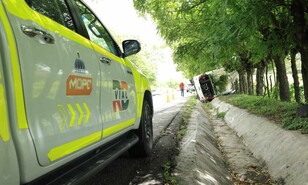 Honesto, ladr&oacute;n