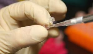 Demandan al Gobierno Trump por la recolección de muestras de ADN de inmigrantes