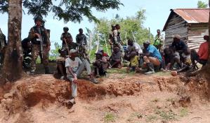 Ejército detiene a 23 haitianos por depredación ambiental en Dajabón