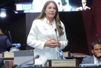 Diputada Carmen de la Rosa propone crear Colegio de Profesionales Farmacéuticos Diputada Carmen de la Rosa propone crear Colegio de Profesionales Farmacéuticos
