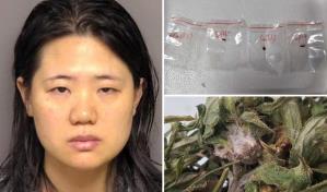 Acusan a dos científicos chinos de contrabando de hongo tóxico en EE. UU.