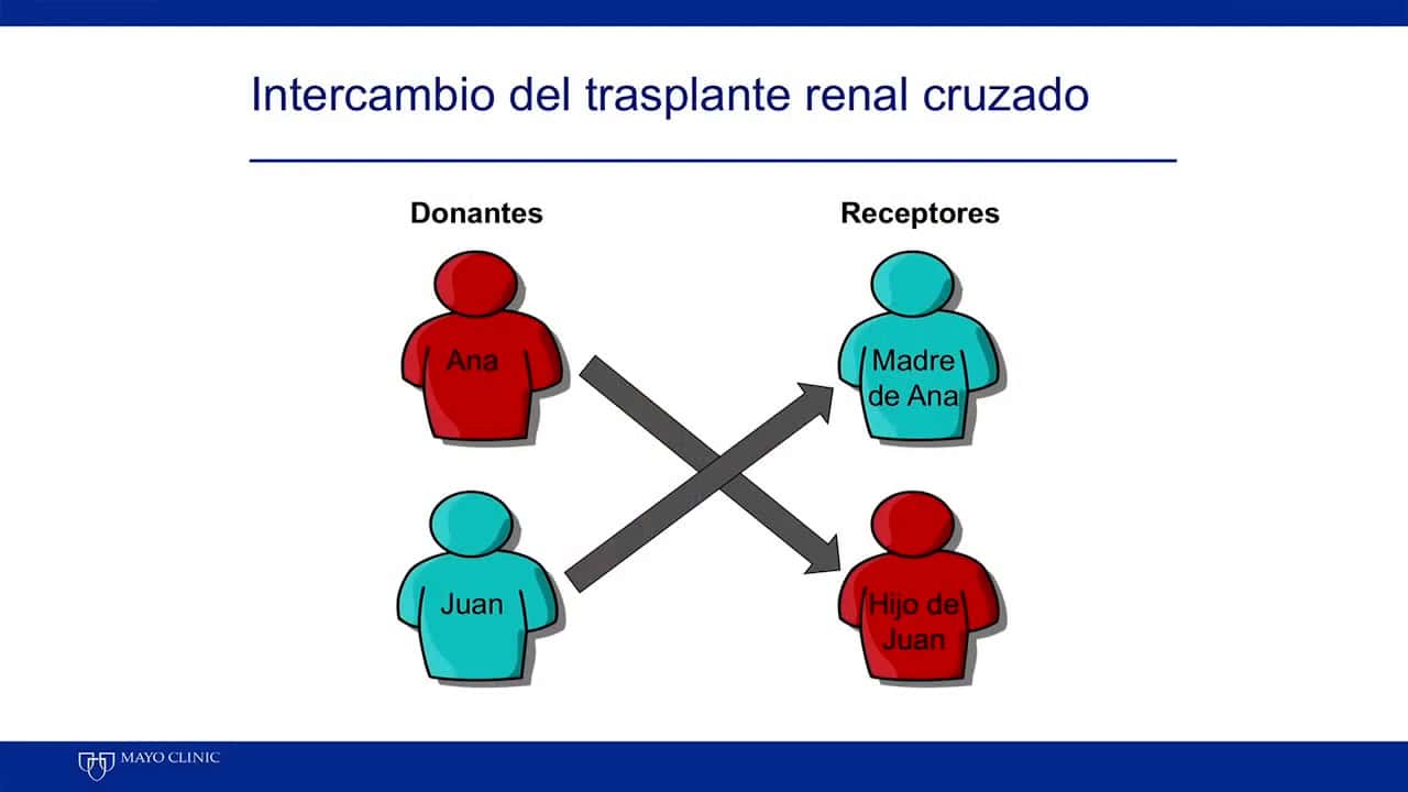 Infografía