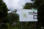 Actualizan lineamientos para la gestión de la Reserva Científica Ébano Verde