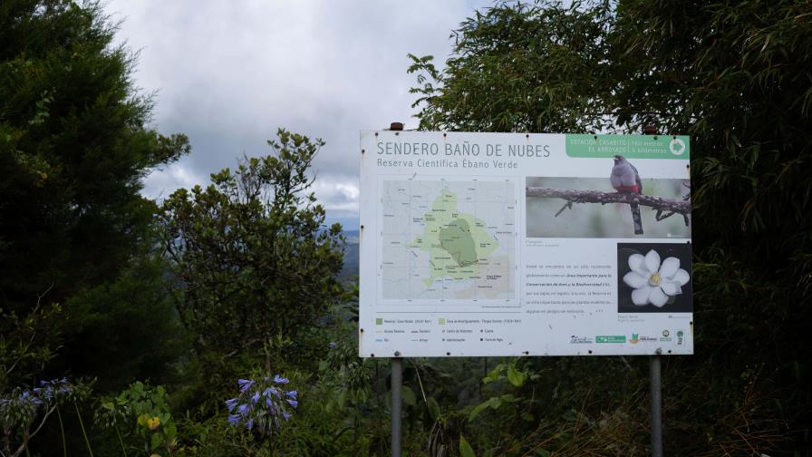 Actualizan lineamientos para la gestión de la Reserva Científica Ébano Verde Actualizan lineamientos para la gestión de la Reserva Científica Ébano Verde