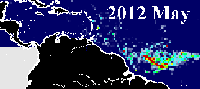 Sargazo en el Caribe durante mayo de 2012.