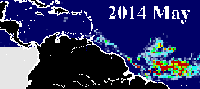 Sargazo en el Caribe durante mayo de 2014.