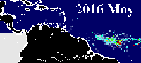 Sargazo en el Caribe durante mayo de 2016.