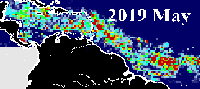 Sargazo en el Caribe durante mayo de 2019.