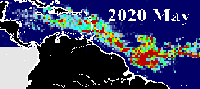 Sargazo en el Caribe durante mayo de 2020.