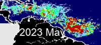 Sargazo en el Caribe durante mayo de 2023.