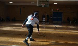 El floreciente imperio de la vitilla en Nueva York