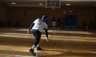 El floreciente imperio de la vitilla en Nueva York