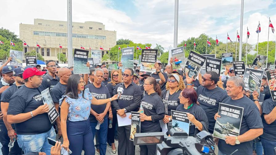 Los suplidores protestan contra proyecto de ley que plantea cocinar alimentos en las escuelas Los suplidores protestan contra proyecto de ley que plantea cocinar alimentos en las escuelas