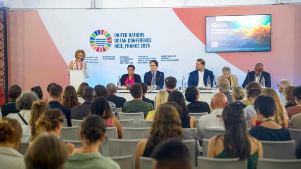 República Dominicana propone coalición interregional contra el sargazo
