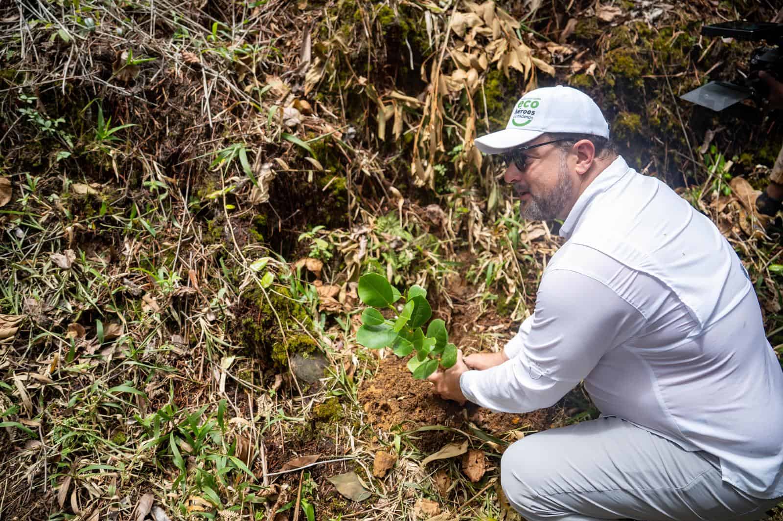 El ministro Paíno Henríquez durante siembra de ébano verde. 