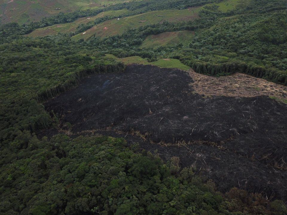 [object HTMLTextAreaElement]