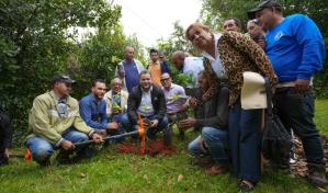 Donan 20 mil plántulas de cacao para la producción y reforestación de la Loma Blanco