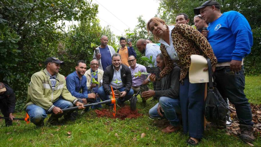 Donan 20 mil plántulas de cacao para la producción y reforestación de la Loma Blanco Donan 20 mil plántulas de cacao para la producción y reforestación de la Loma Blanco
