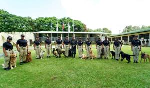 DNCD integra 50 nuevos binomios caninos para reforzar capacidad operativa contra el narcotráfico