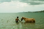 Pel&iacute;culas de Puerto Rico, Uruguay y Per&uacute; brillan en el Festival Tribeca