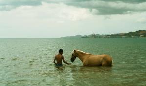 Películas de Puerto Rico, Uruguay y Perú brillan en el Festival Tribeca