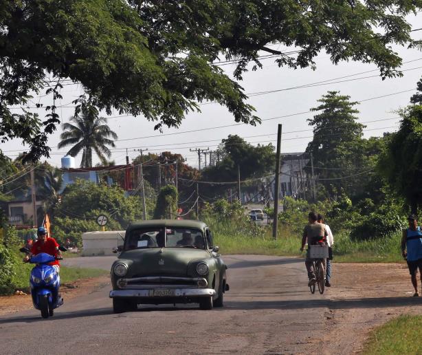 Cuba en caída libre: importa huevos y pierde exportaciones emblemáticas Cuba en caída libre: importa huevos y pierde exportaciones emblemáticas