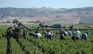 El Gobierno de EE. UU. promete ayuda significativa a los agricultores