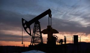 La OPEP asegura que no hay necesidad de intervenir en el mercado petrolero