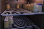 Donaciones de leche materna distribuidas más de 200 mil veces para alimentar a recién nacidos en RD