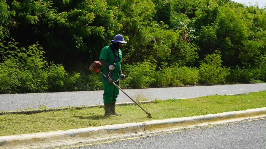 Digecac embellece el Boulevard de Juan Dolio con operativo de poda y siembra de guayacanes Digecac embellece el Boulevard de Juan Dolio con operativo de poda y siembra de guayacanes