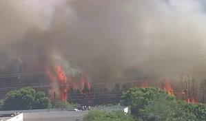 Inmigración en alerta por incendio forestal cerca de centro de migrantes de Miami