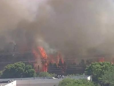 ICE en alerta por incendio forestal cerca de centro de migrantes