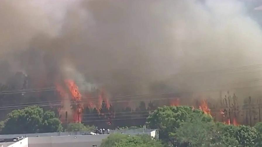 Inmigración en alerta por incendio forestal cerca de centro de migrantes de Miami Inmigración en alerta por incendio forestal cerca de centro de migrantes de Miami