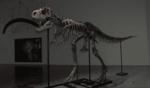Sothebys subastará un Ceratosaurus, único ejemplar juvenil conocido de esta especie