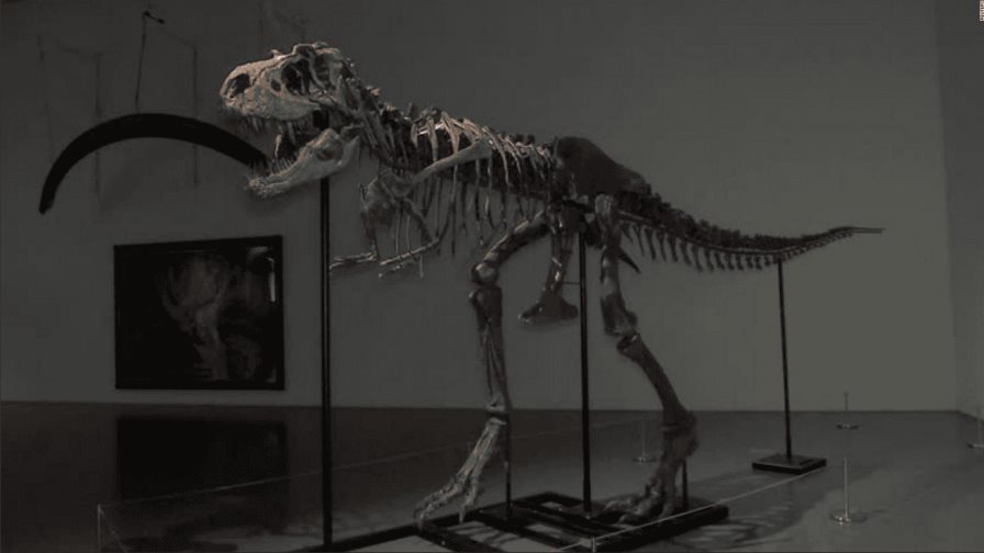 Sothebys subastará un Ceratosaurus, único ejemplar juvenil conocido de esta especie