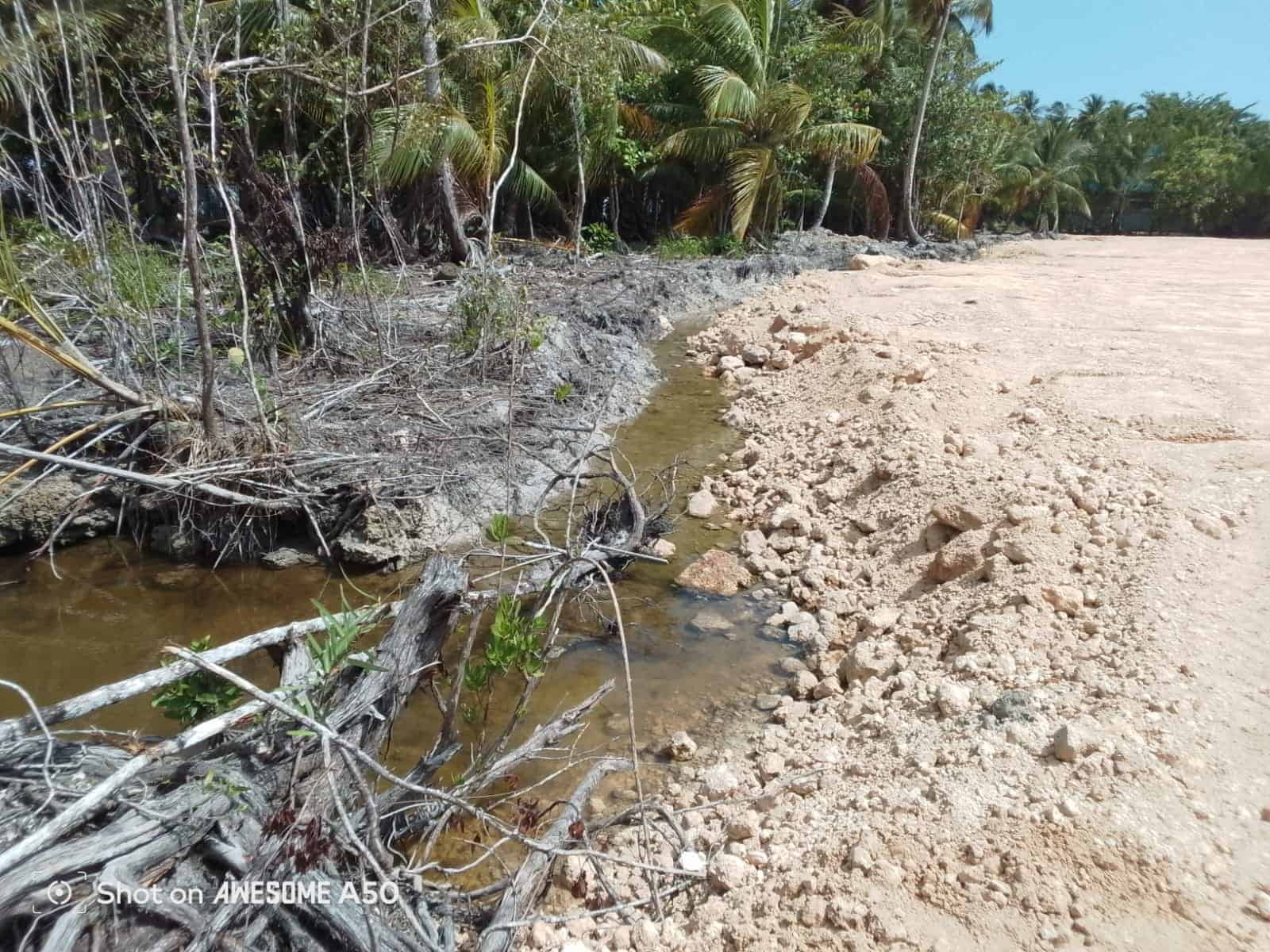 [object HTMLTextAreaElement]