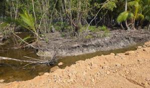 El Ministerio Público paraliza proyecto inmobiliario en Samaná por daños al medio ambiente