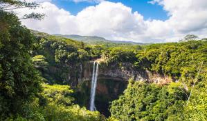 Las estaciones húmedas en la Amazonía son cada vez más húmedas, y las secas, más secas