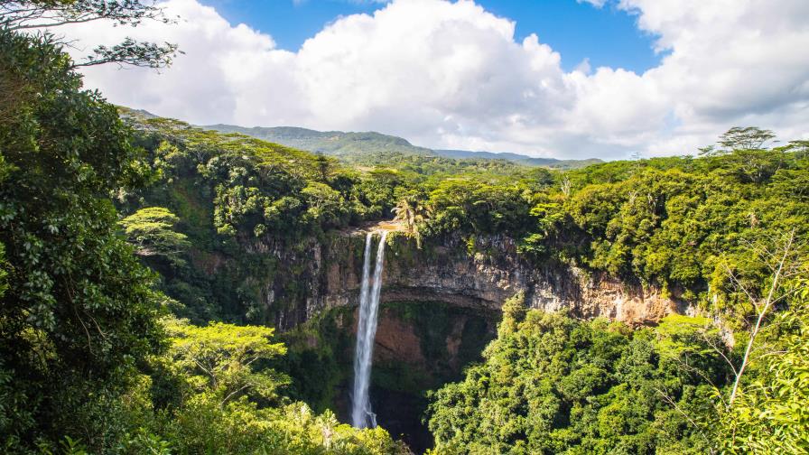 Las estaciones húmedas en la Amazonía son cada vez más húmedas, y las secas, más secas