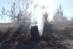 Primera temporada de incendios 2025 cierra con más siniestros y menos áreas afectadas