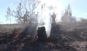 Primera temporada de incendios 2025 cierra con más siniestros y menos áreas afectadas