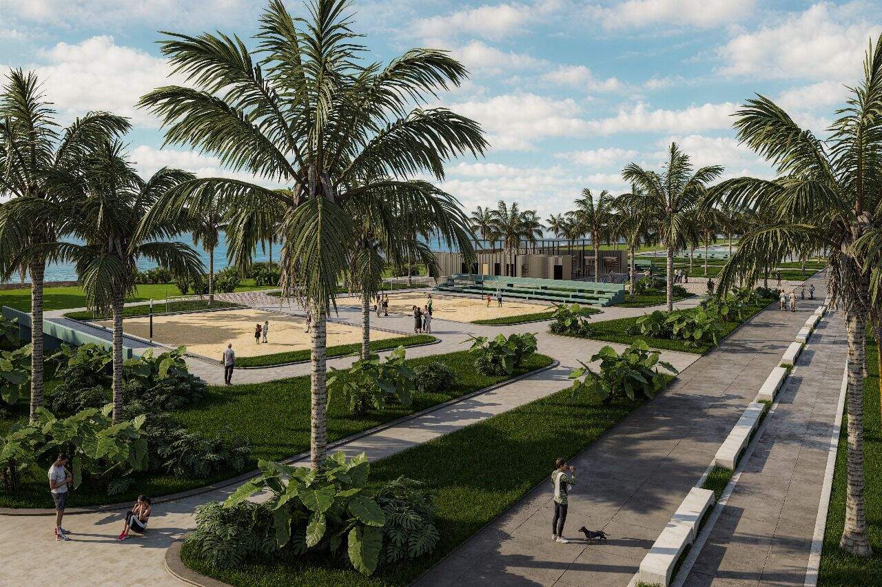 Perspectiva del proyecto.
