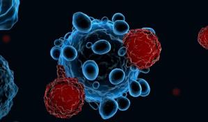 Una técnica genera células CAR-T directamente en el cuerpo para luchar contra el cáncer Una técnica genera células CAR-T directamente en el cuerpo para luchar contra el cáncer