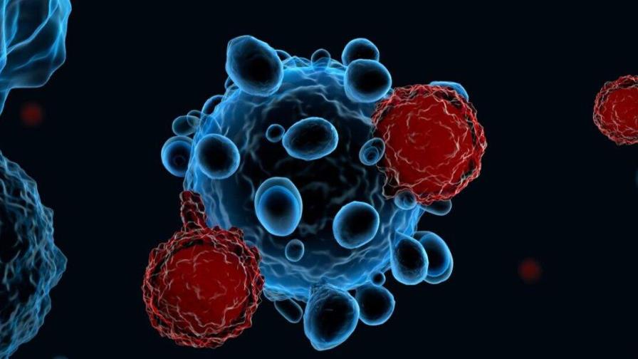 Una técnica genera células CAR-T directamente en el cuerpo para luchar contra el cáncer